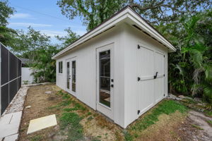 Backyard3