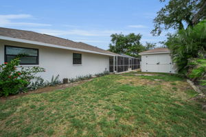 Backyard4