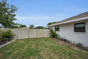 Backyard1