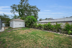 Backyard2