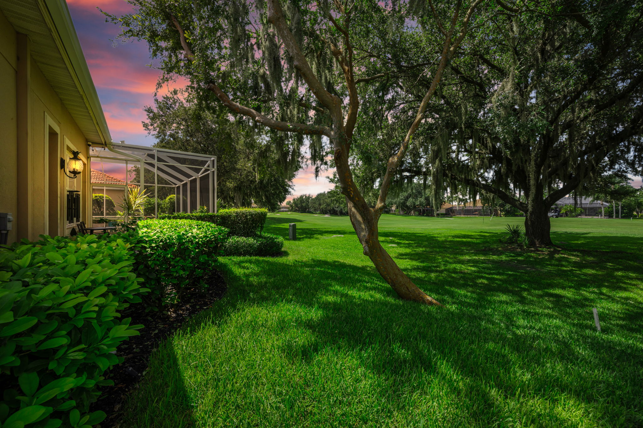 Backyard 1