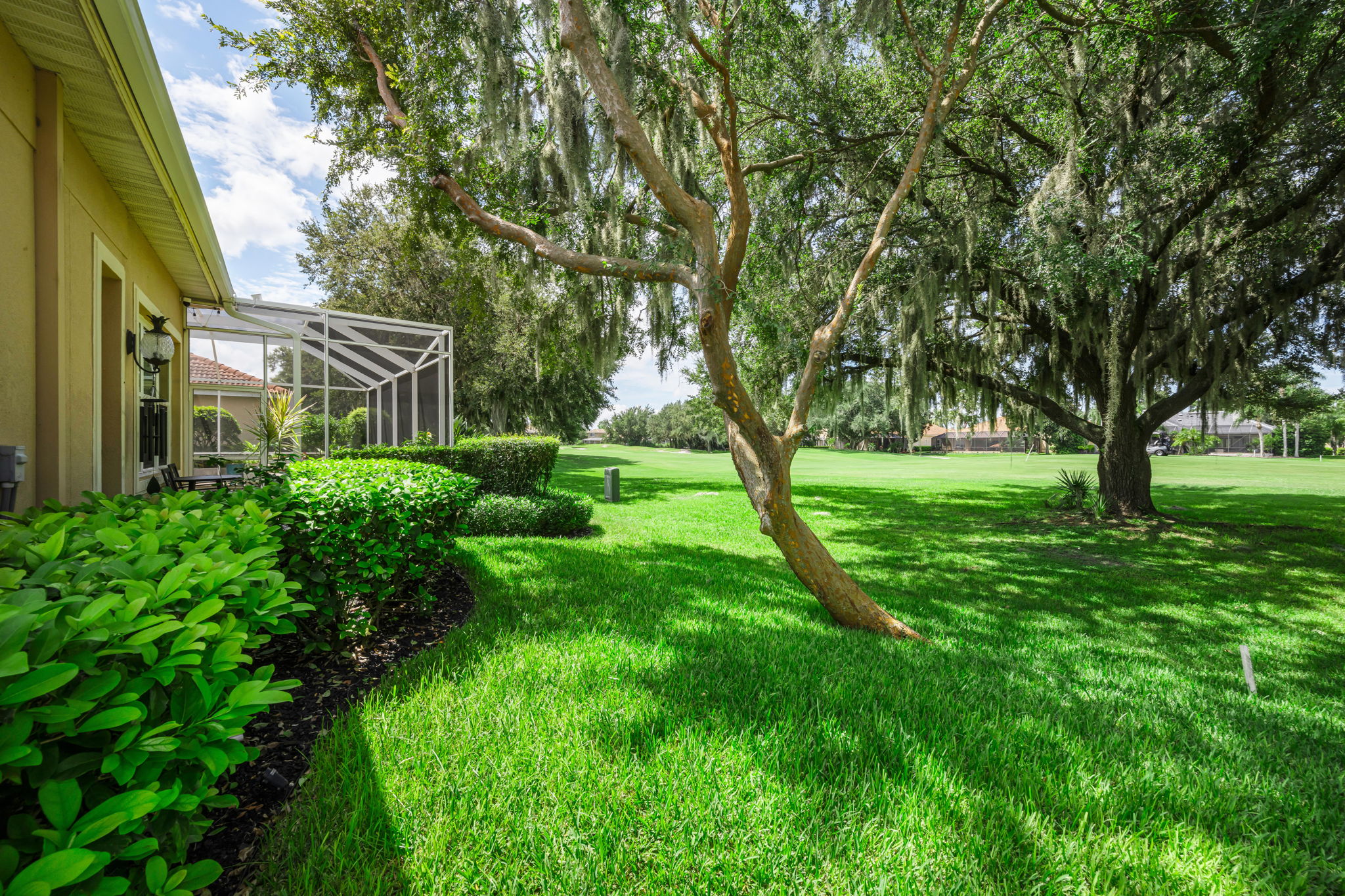 Backyard 1