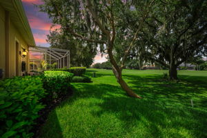 Backyard 1