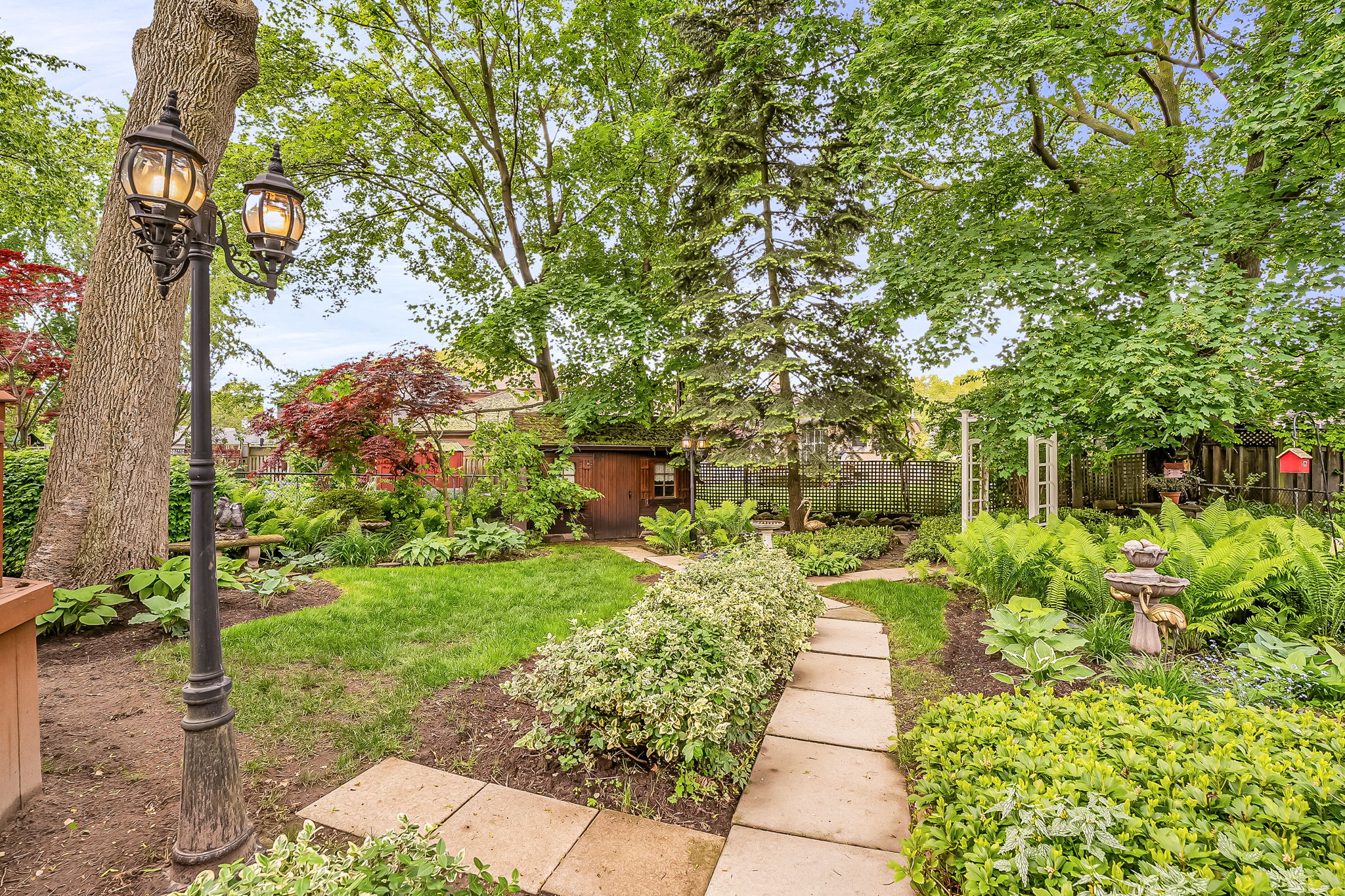 55-backyard2