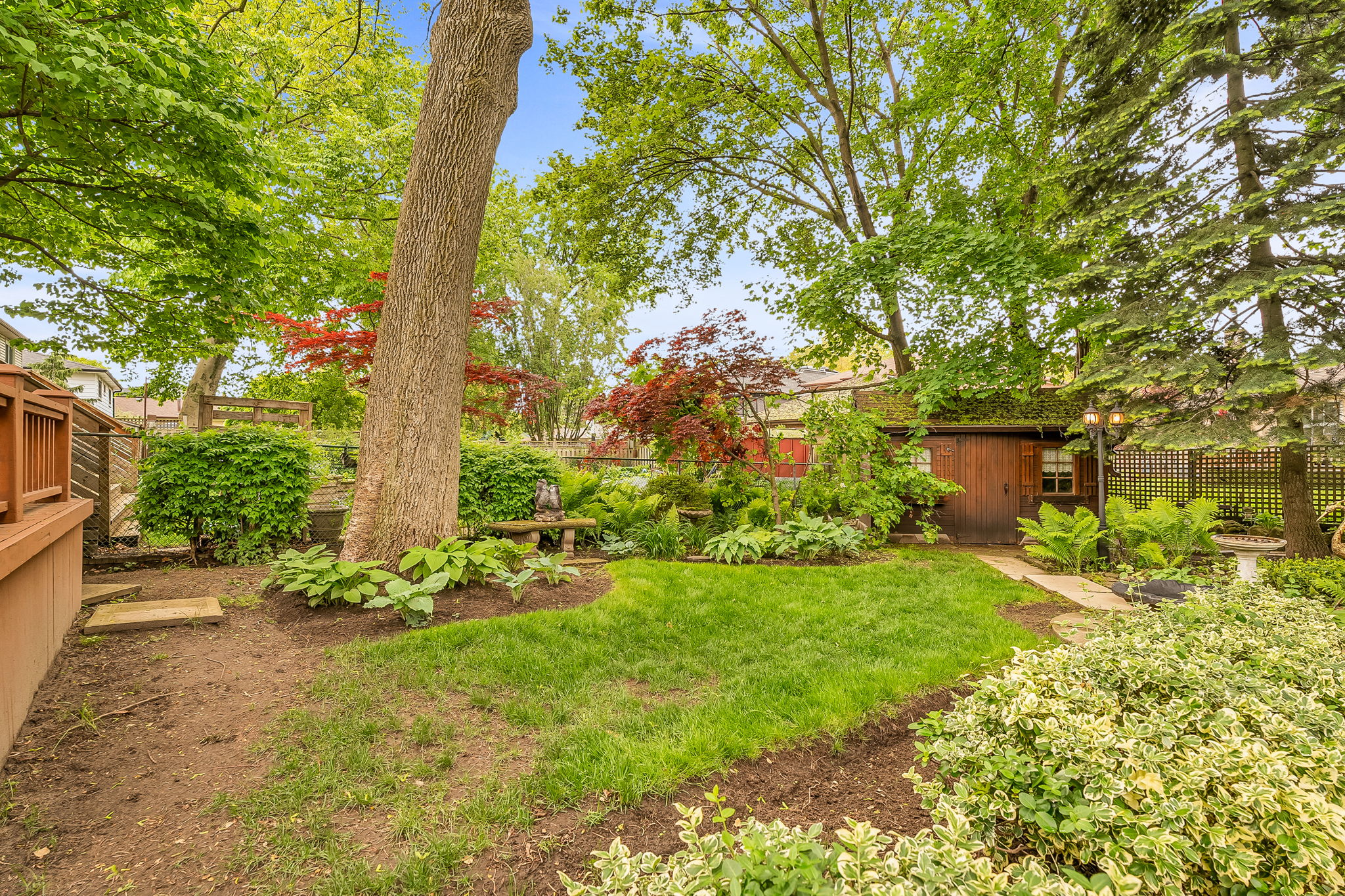 57-backyard4