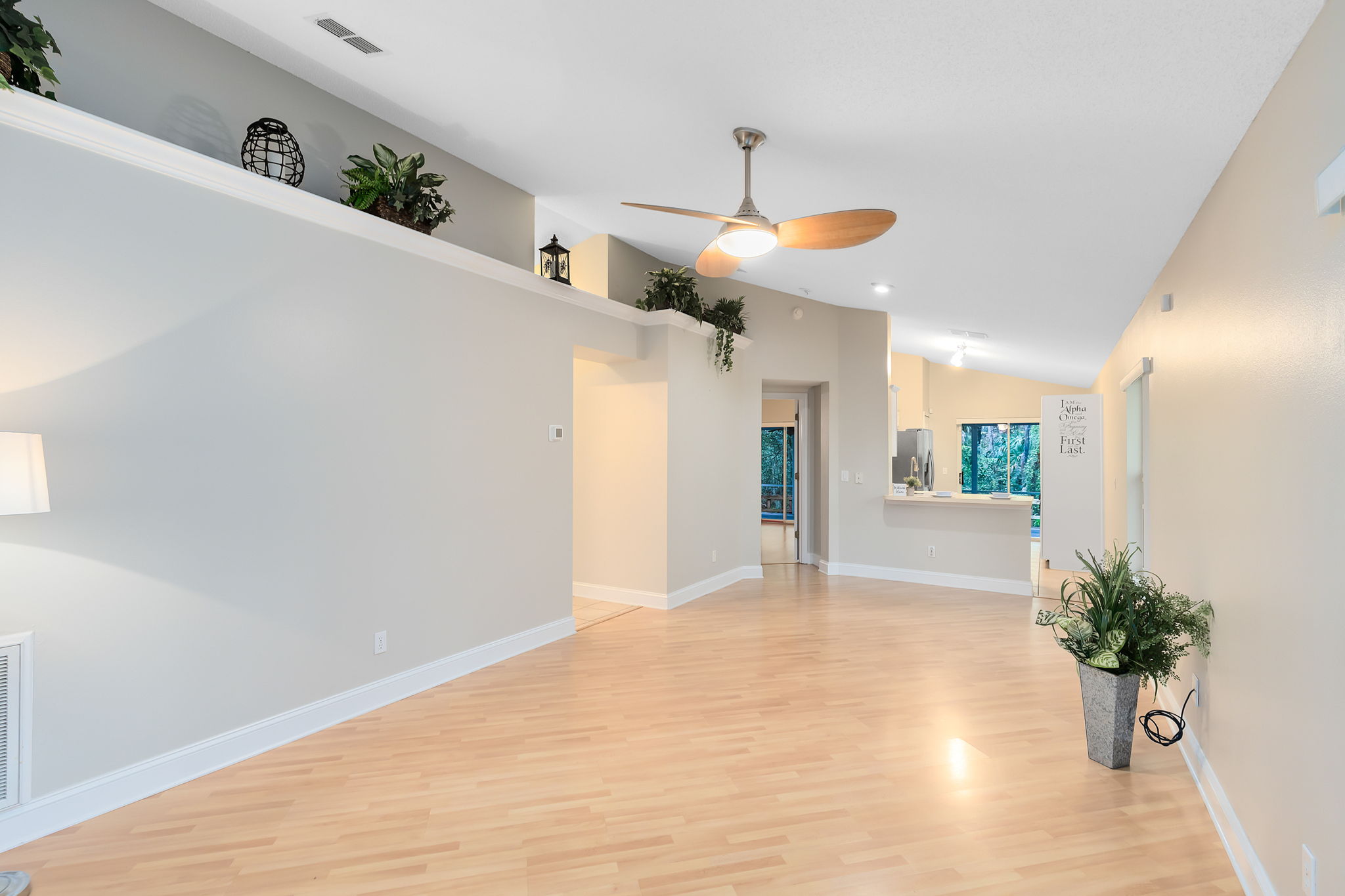 Living Room/Dining Room Combo