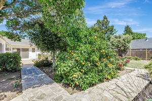 055_14555 Nelson Way