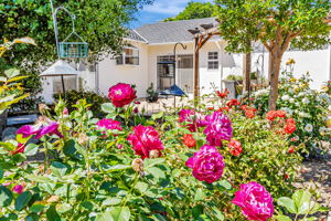 064_14555 Nelson Way