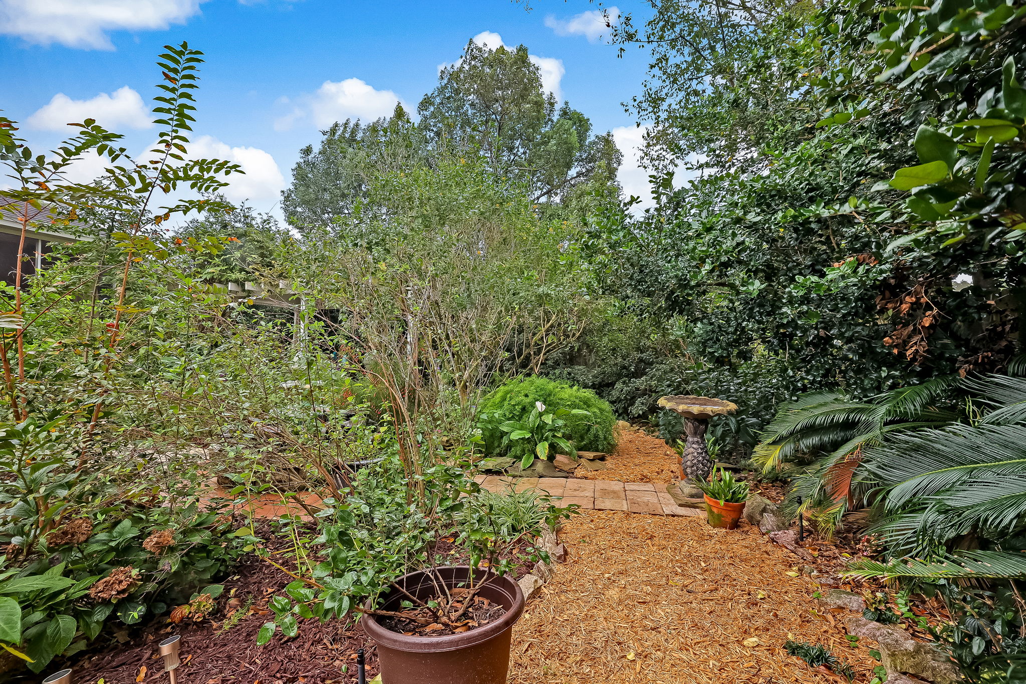 Park-Like Backyard
