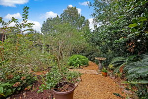 Park-Like Backyard