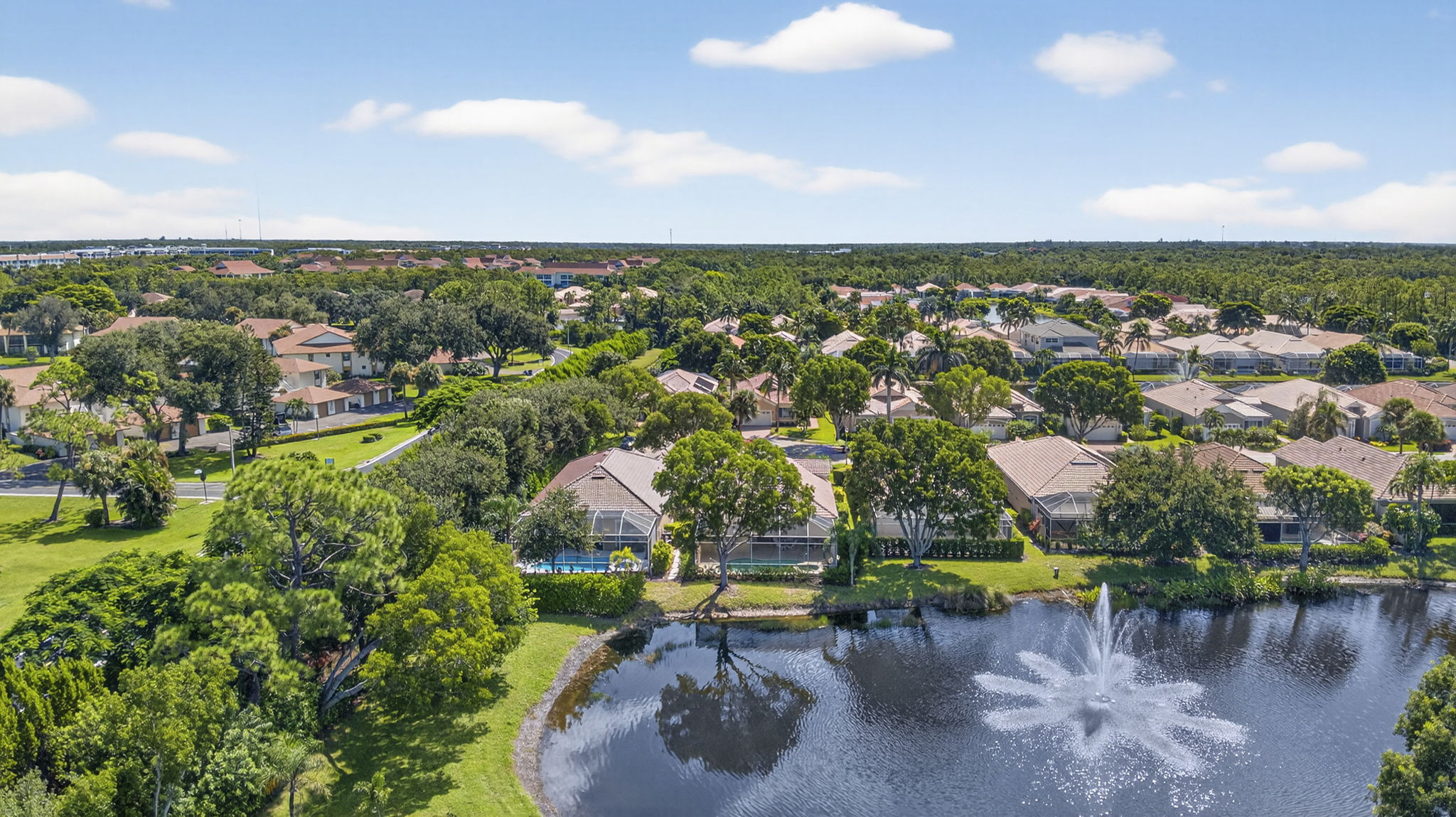 Aerial Rear Exterior 1