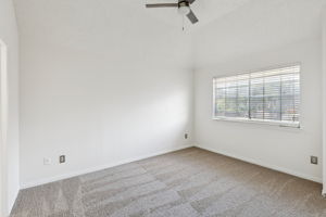 14596Whitman_014