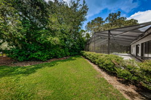 Backyard6-2