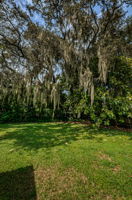 Backyard2-2