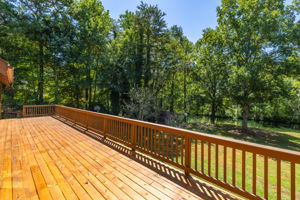 146 brookdale Dr-38
