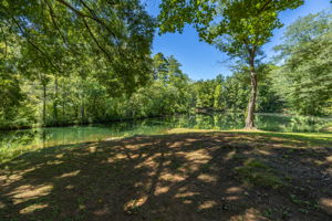 146 brookdale Dr-49