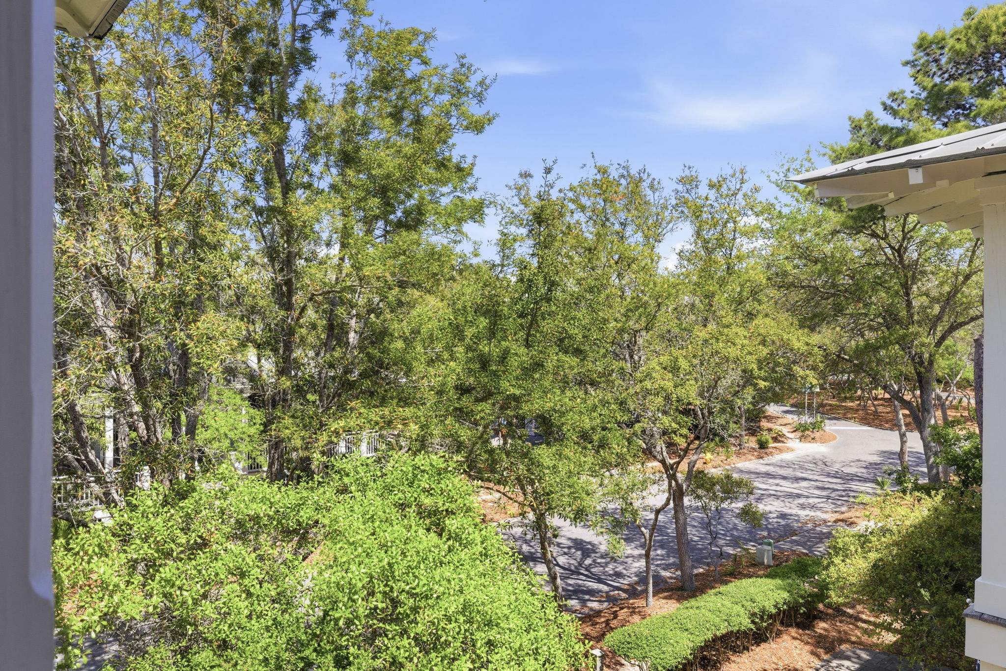 Array_146SilverLaurelWay-101