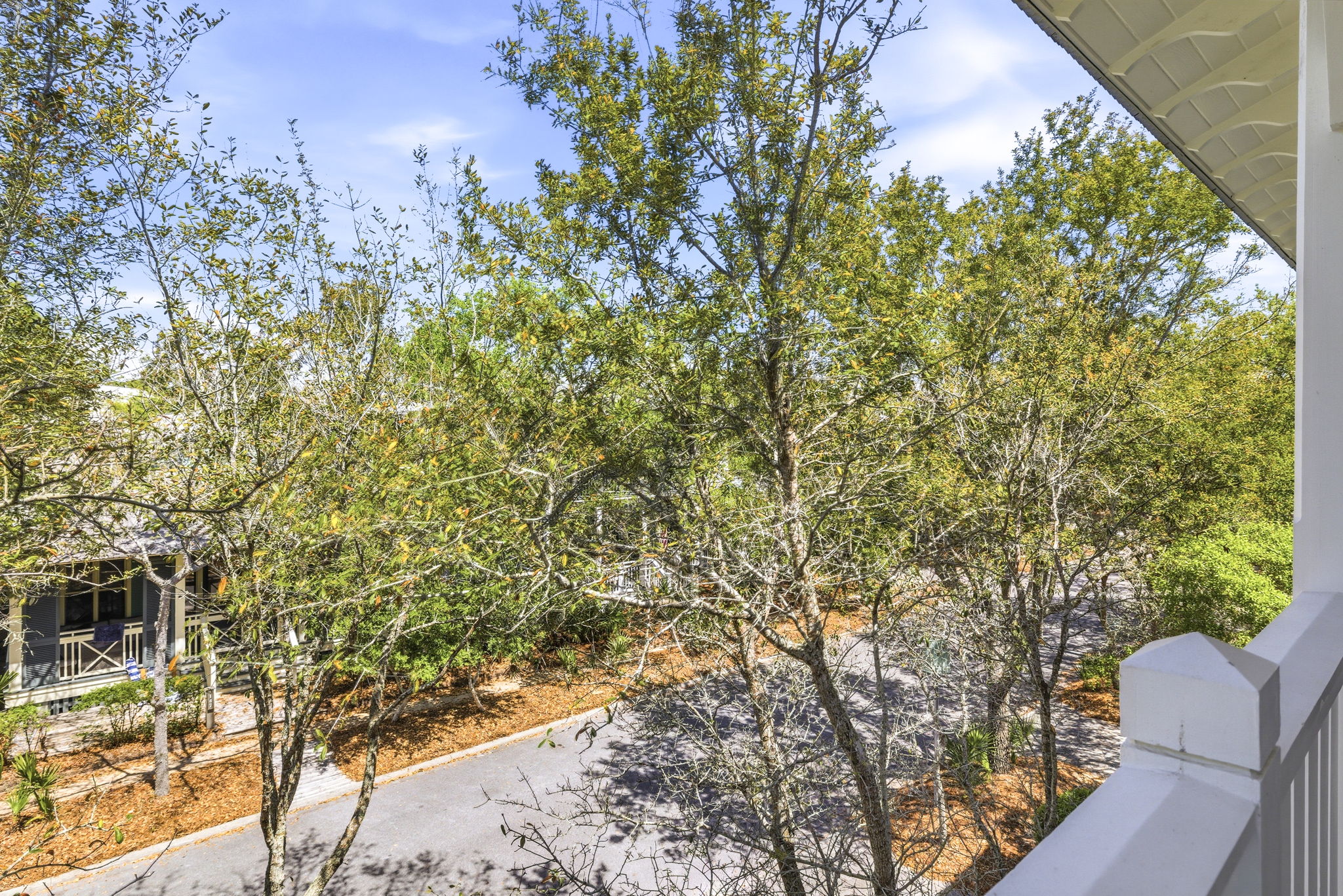 Array_146SilverLaurelWay-105