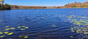  Photo 45