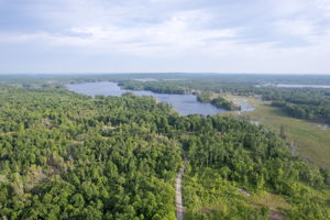  Photo 49