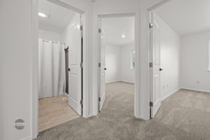  Photo 31