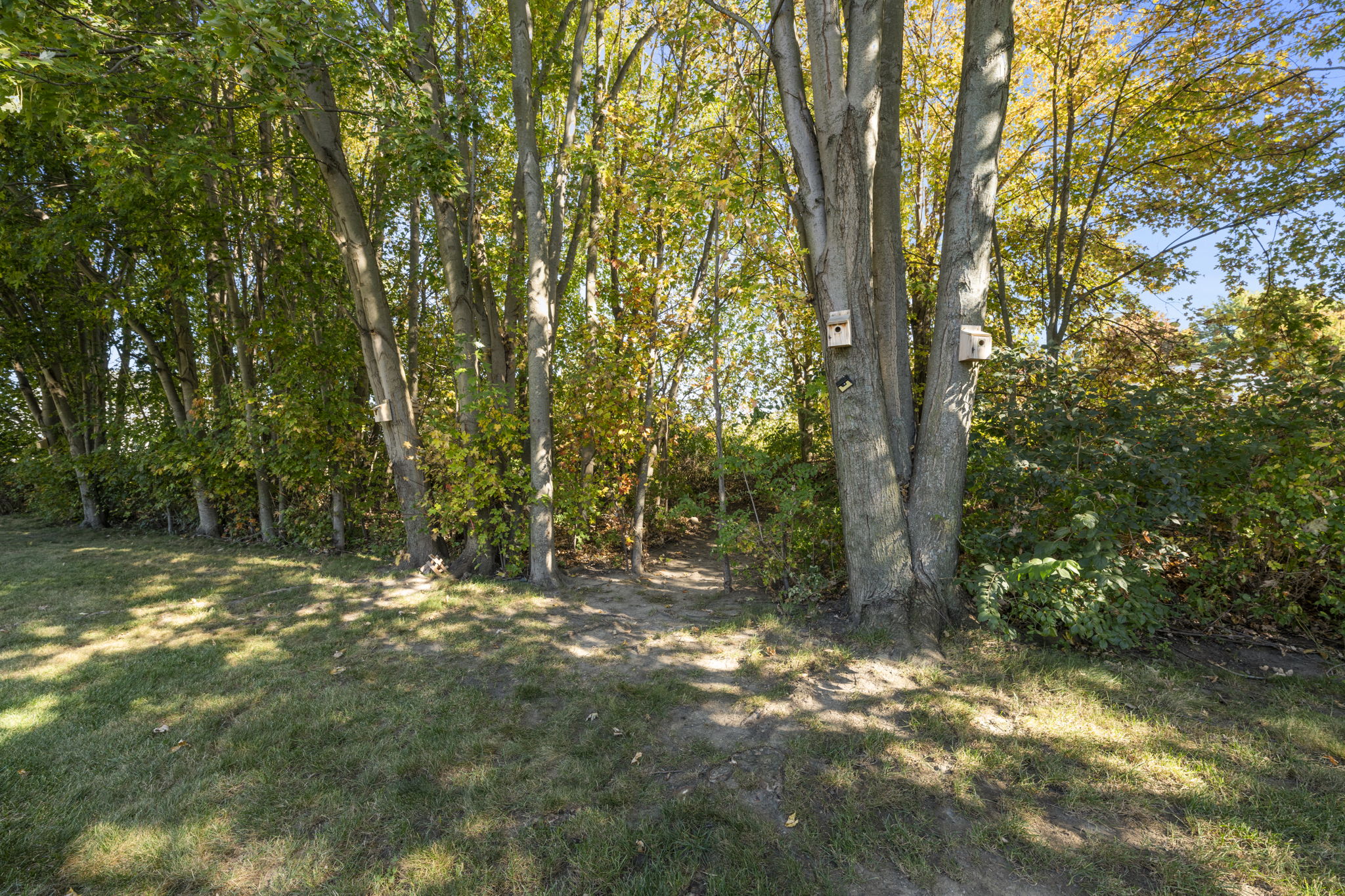  Photo 41