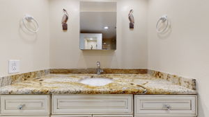 Primary Vanity
