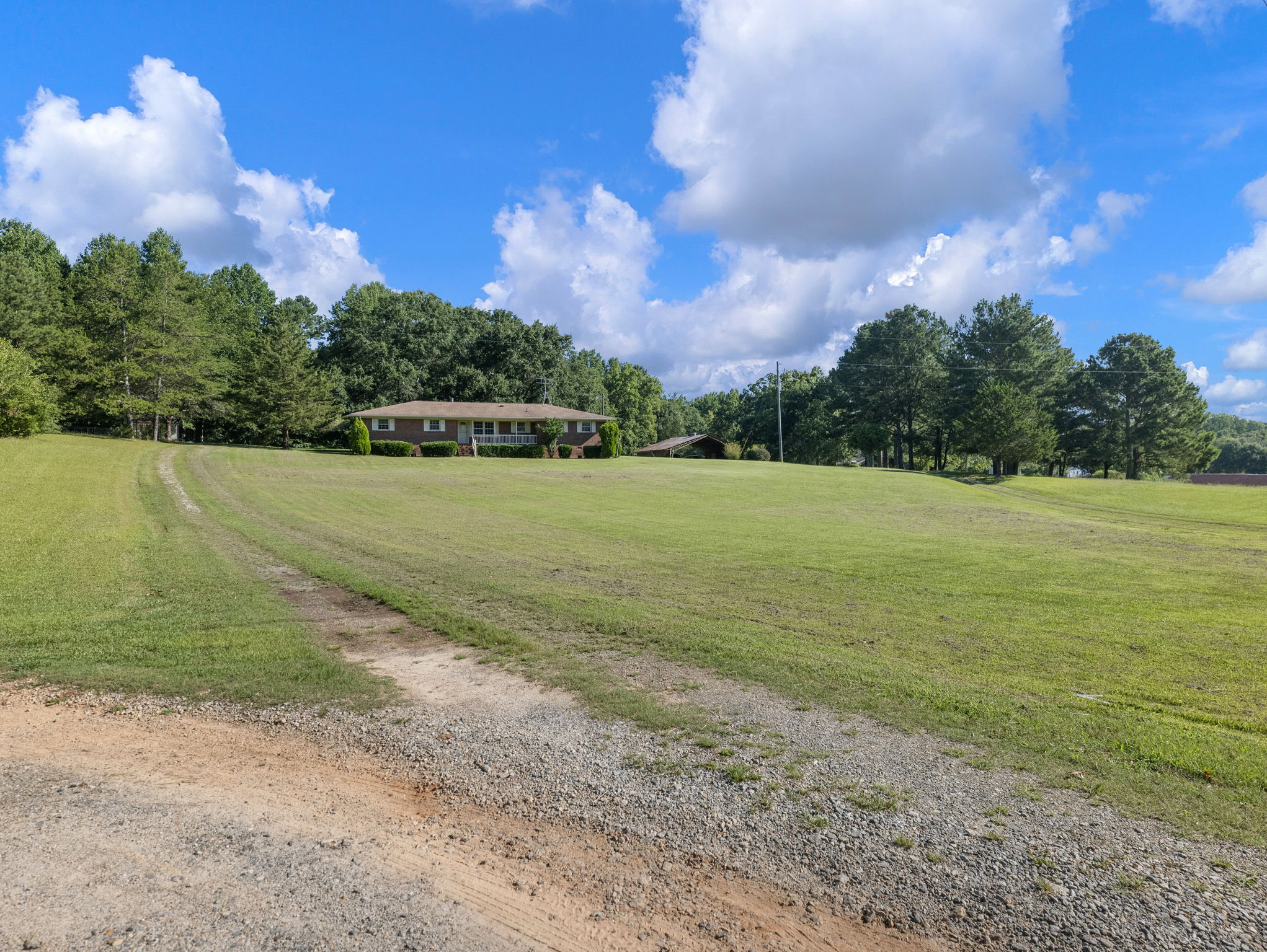  Photo 43
