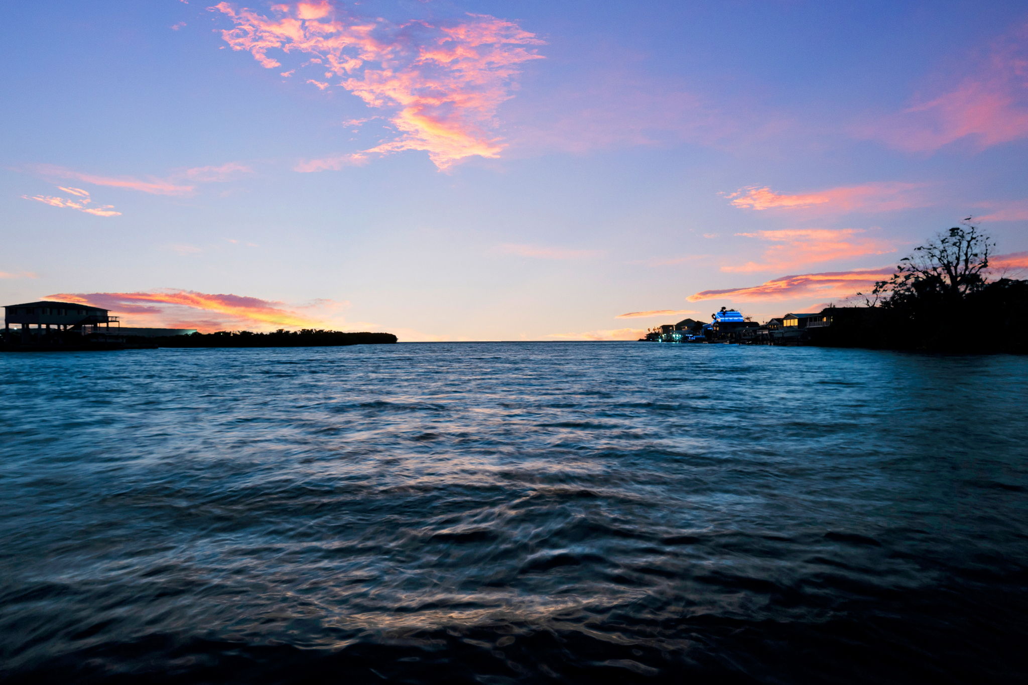 Twilights (15)
