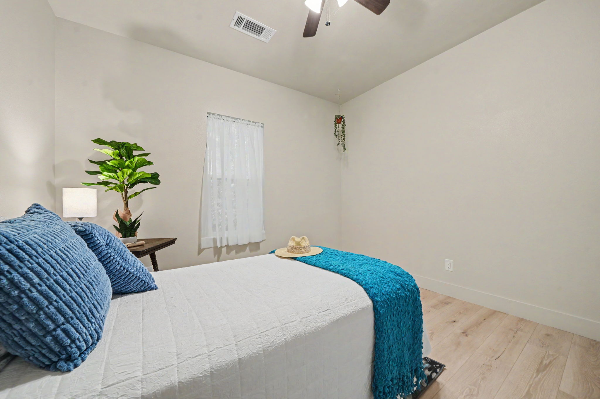  Photo 55