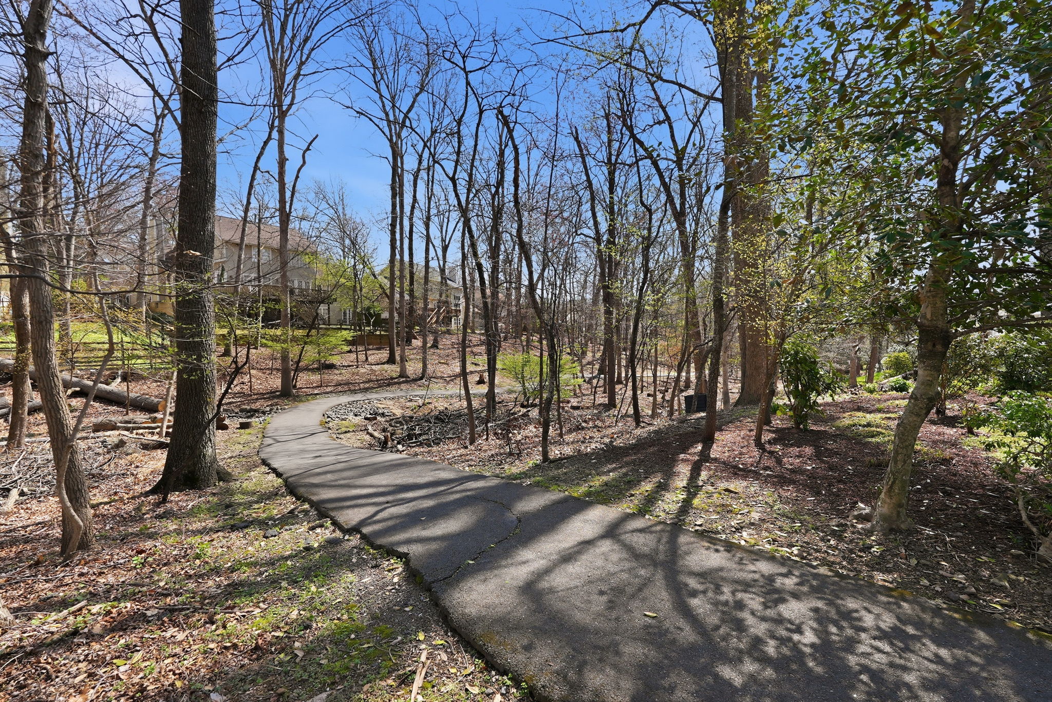 Neighborhood Walking Paths