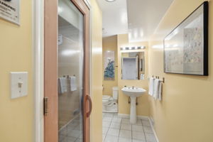 Lower Level Bathroom with Sauna