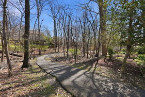 Neighborhood Walking Paths