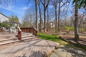 Rear Deck & Yard