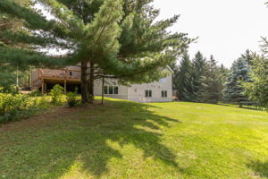 41-Back View