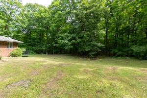  Photo 31