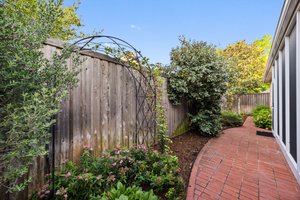 Low Maintenance Outdoor Gardens