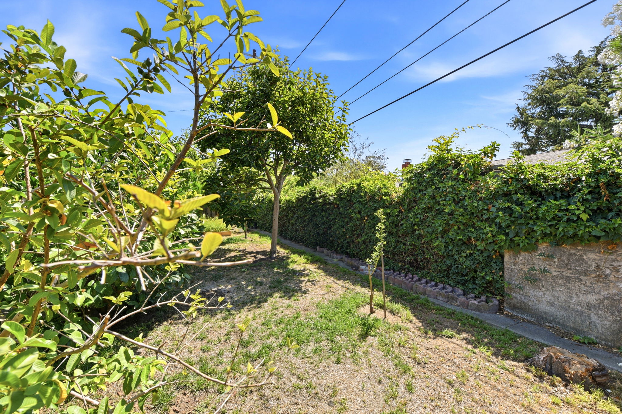 042_F8_1464 Hillsdale Ave