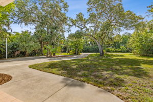 Front Yard