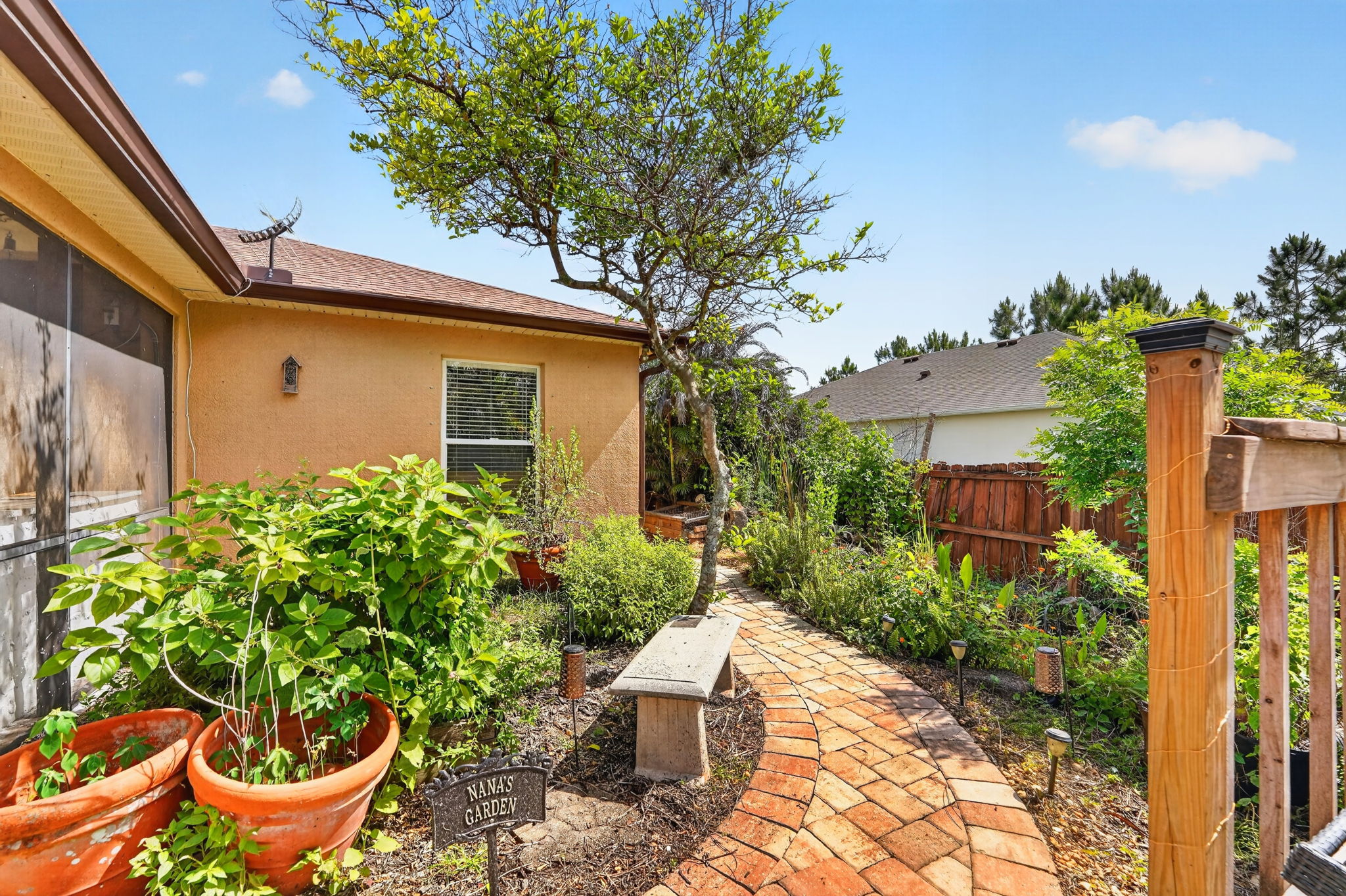 Backyard