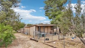 Poplar St-0206-048.jpg