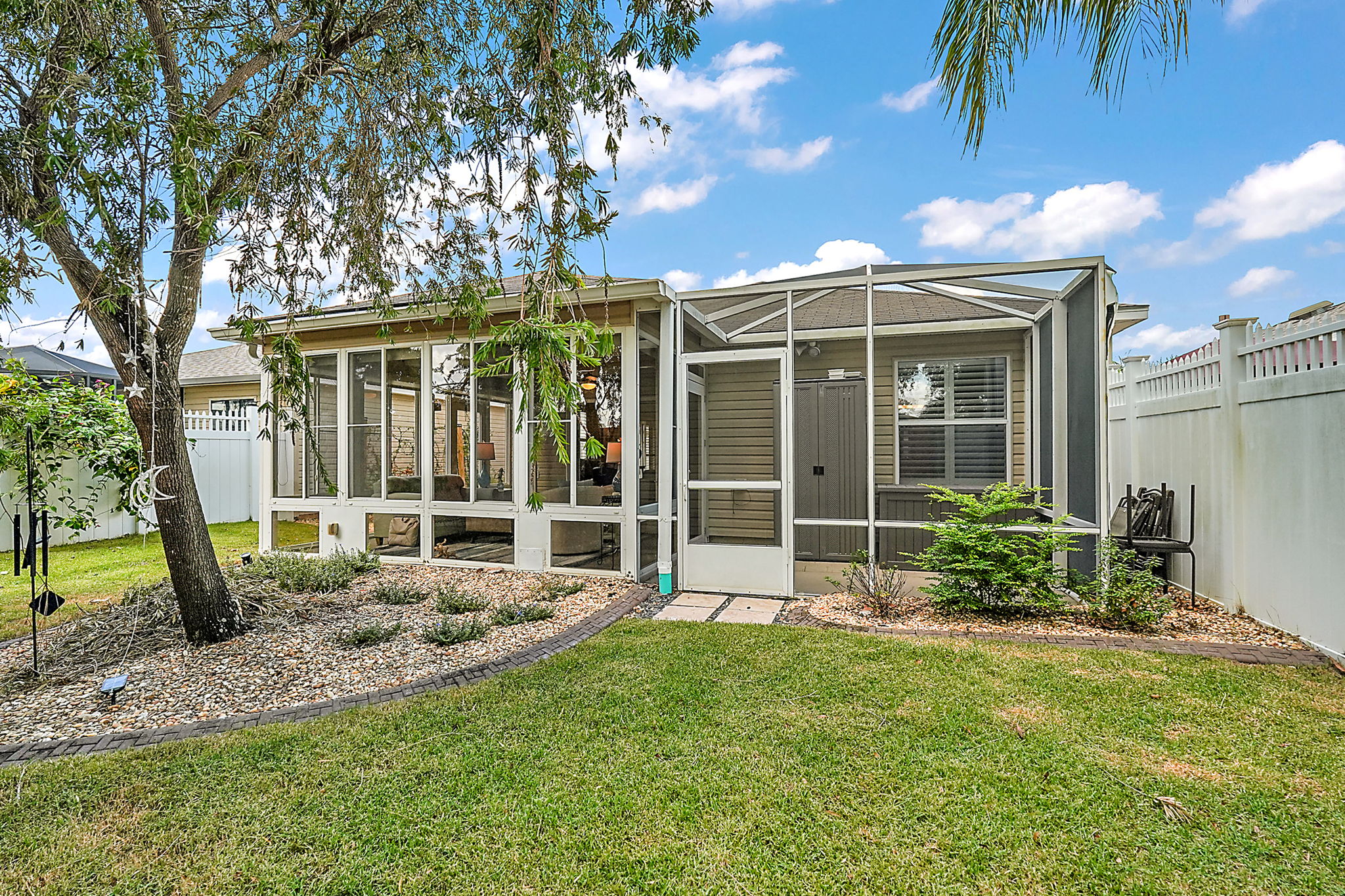 WEEPING TREE ADDS SHADE AND BEAUTY TO SUNROOM AND YARD