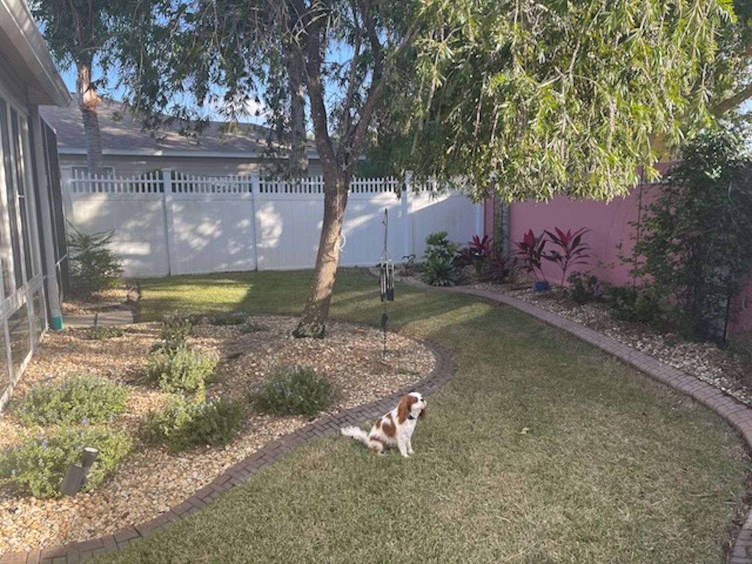  Photo 29