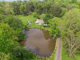 DJI_0667.jpg