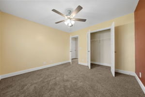  Photo 31