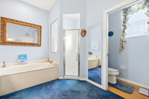 Primary Bathroom 3