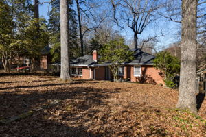 20260202_147mockingbird_godwin027