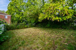  Photo 34