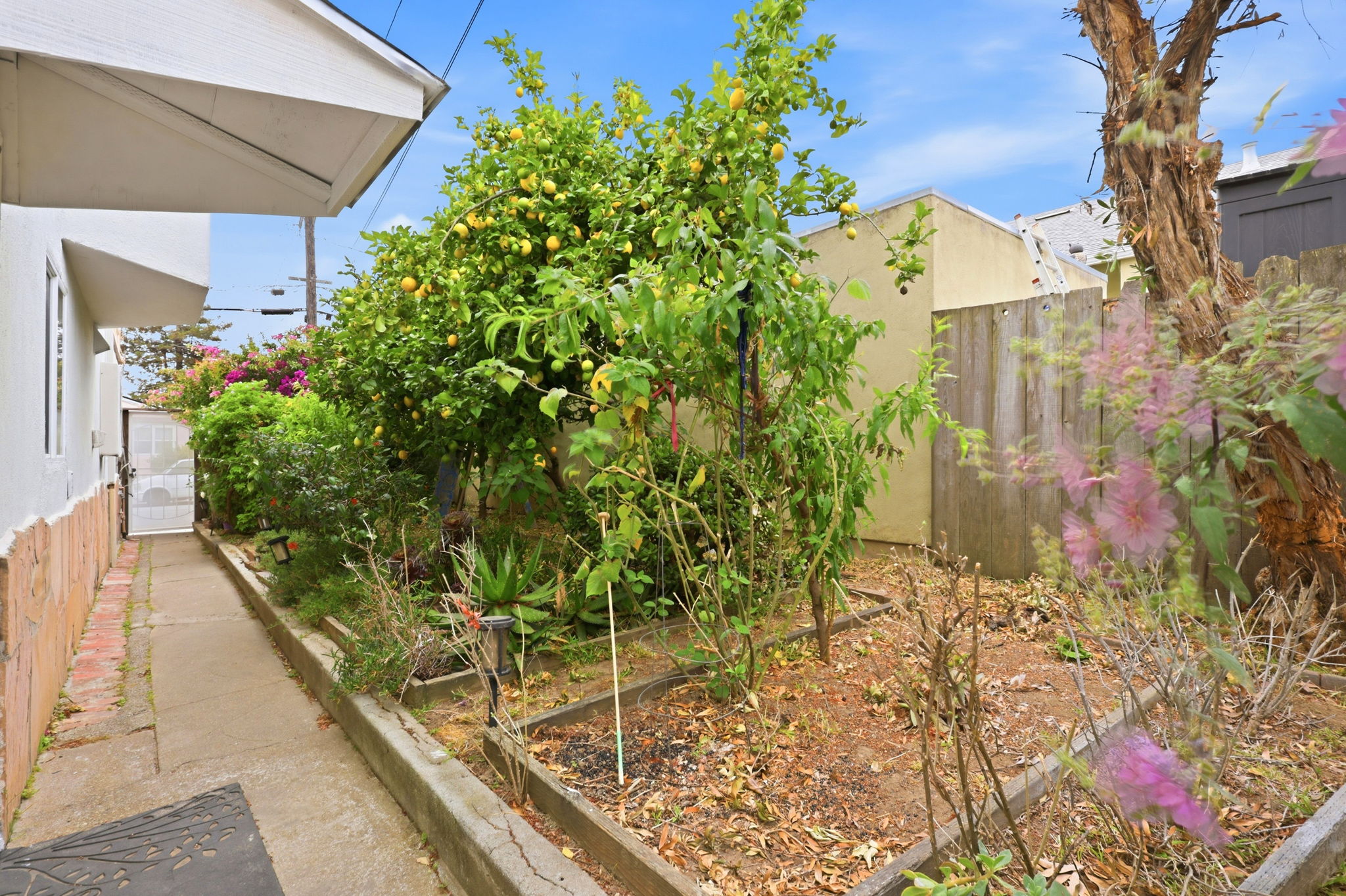 031_F8_147 San Benito Ave