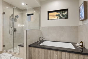 Primary Bathroom 3